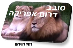 וידאו טיול סובב דרום אפריקה