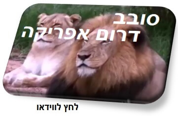 וידאו-סובב-דרום-אפריקה