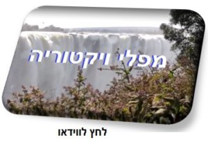 וידאו מפלי ויקטוריה