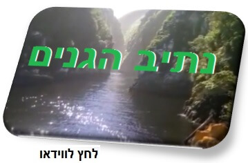 וידאו-נתיב-הגנים-בנהיגה-עצמית