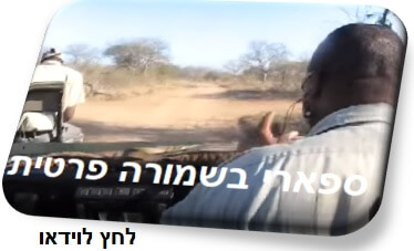 ספארי בשמורה פרטית