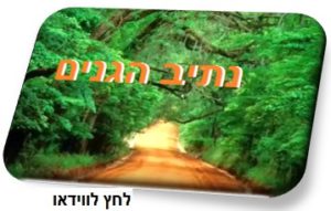 לחץ-לווידאו-נתיב-הגנים