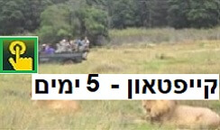 קייפטאון חבילת תיור 5 ימים