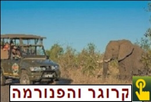 קרוגר והפנורמה