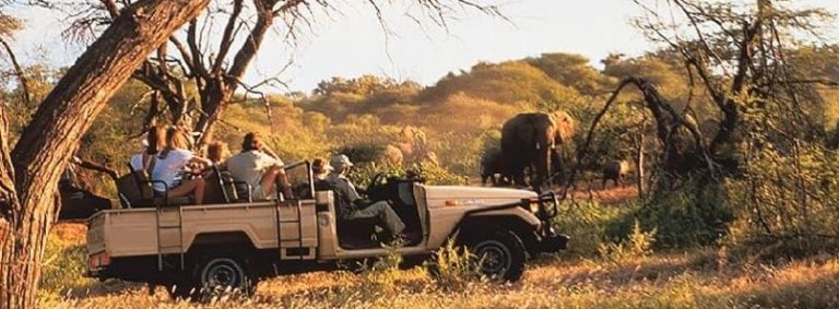 SA Safari