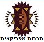 תרבות אפריקאית