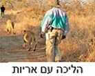 הליכה עם אריות