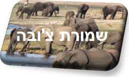 שמורת-צ'ובה