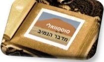נמיב
